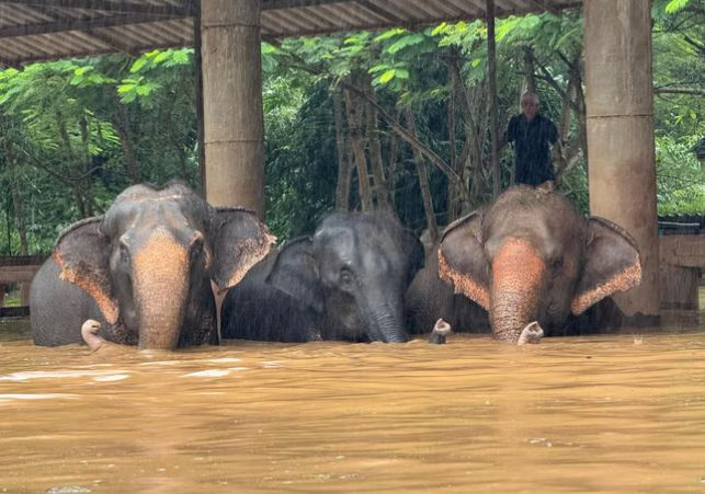 Meriddian Times News